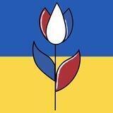 Help for refugees in NL: точечная помощь