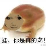 XZ频道