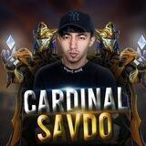 Cardinal⚡️
