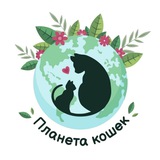 Планета кошек