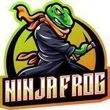 Ninja FROG Portal