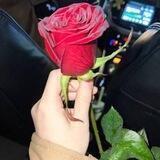 قروب سواليف وعقول راقيه😌♥