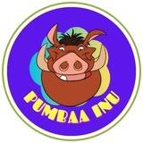 Pumbaa Inu🇨🇳中文官方社区