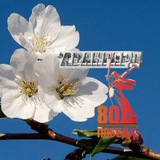 АВАНГАРД НОВОАННИНСКИЙ