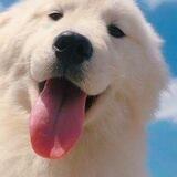 §ťųpïđ çřàźý 😃😉ŁØVƏ