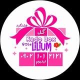 کادو باکس گل لیلیوم