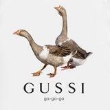 team goose 🚀
