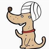 LaeebDoge