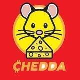 Chedda Classic - Portal