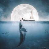 Whale in the moon🐋🌔