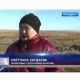 Светлана Сибирская 🌎