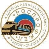 Дорпрофжел на СКжд