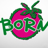 Магазин Born