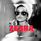 ZEBRA_Lenina