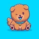 Chow Chow Inu Portal