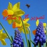 پروفایل_گل_منظره