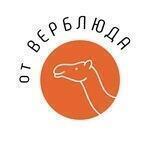 От верблюда