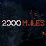 2000MULES ✪