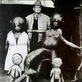 do androids dream of electric sheep?