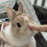 Foto Dump nie