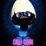 CALICOIN (CAN)
