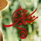 Shabake makhfi zanan 🎥