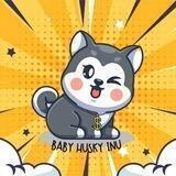 BabyHuskyInu-OFFICIAL
