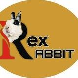 REX RABBIT_OFFICIAL [$RBT] 🐇