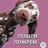 Французский Рафинад