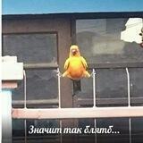 На связи креаты📞