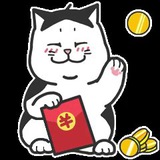 肥猫科技【专注各种账号批发】