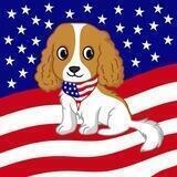 Doge USA