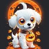 🎃🐕Hallloween Doge🐕🎃 // Low Tax 1/1%