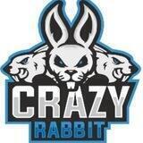 Центр автоэлектроники CrazyRabbit92