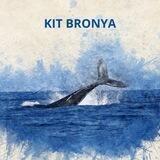 КіТ 🐋 військова амуніція та бронежилети 🇺🇦