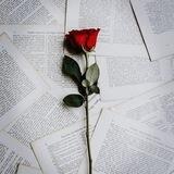 𝔻𝕦𝕪𝕘𝕦𝕤𝕒𝕝 𝕍𝕚𝕕𝕖𝕠𝕝𝕒𝕣 🌹