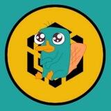 BABY PERRY THE BNB