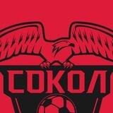 ФК «СОКОЛ» Казань