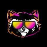 Rocket Raccoon Türkiye 🇹🇷