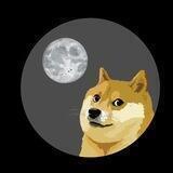 Baby Inu