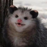 Kasper