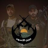 عرين الأسود🖤 🇵🇸