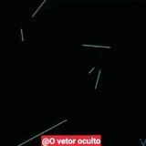O VETOR OCULTO 10.0