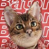 Baton