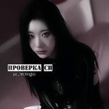 проверка сп||×