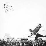 owl pharaoh