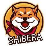 SHIBERA TOKEN PRESALE