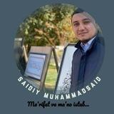 Saidiy Muhammad Said