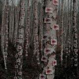 Время летит и я полечу