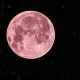 Pink_moon💗